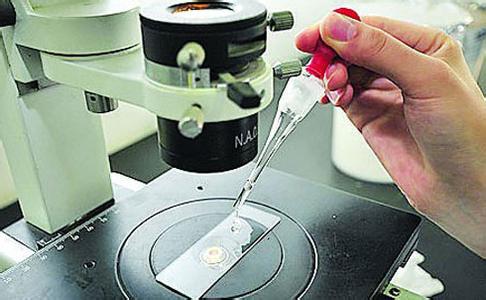 二維色譜、基因測序儀等儀器項目獲豫科技發(fā)展專項資金支持